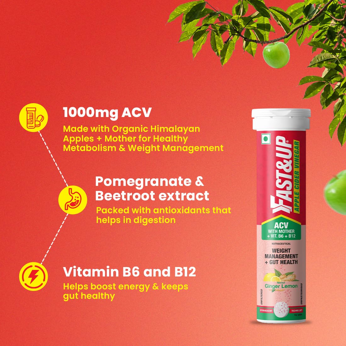 Fast&Up Apple Cider Vinegar with Mother (15 Effervescent tablets) | 1000mg ACV For Weight Management & Bloating | Made with 100% Organic Natural Himalayan Apples| Added Vit. B6 & B12 | Ginger Lemon Flavour