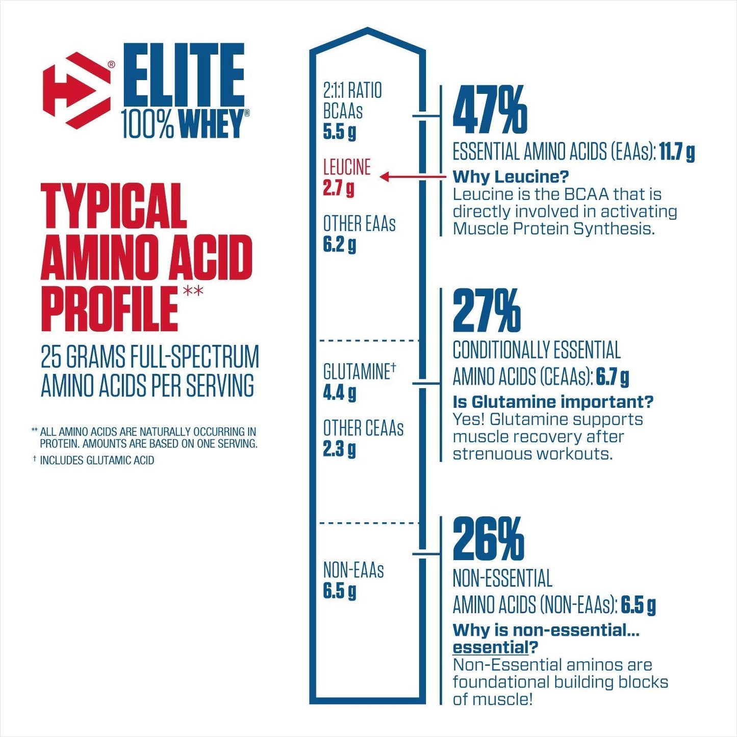 Dymatize Nutrition Elite Whey Protein Supplement Powder, Pre and Post Workout Protein Powder (5 lbs, 2.26 kg, Rich Chocolate)