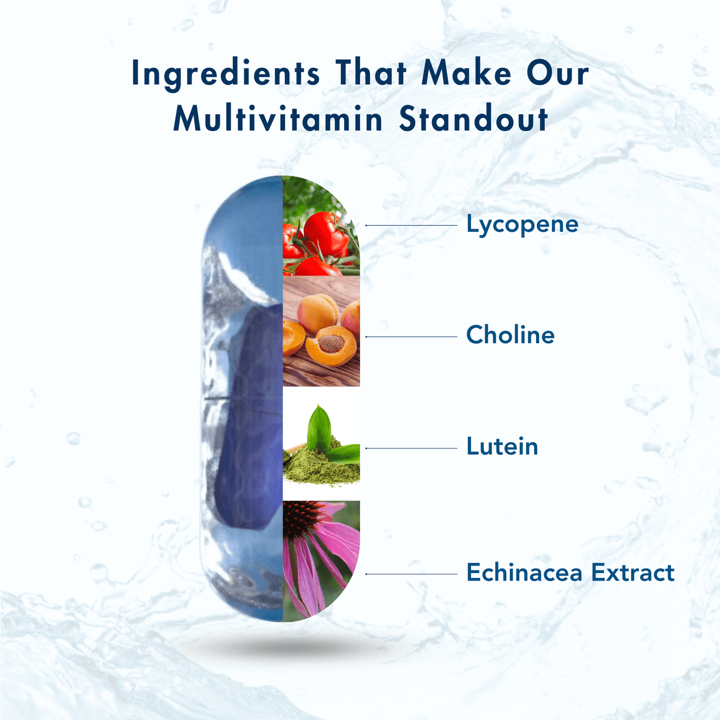 WishNew Wellness DAILY RITUAL Multivitamin for Men 50+ | Enhanced with MCT, Ashwagandha & Ginkgo | 60 Delayed Release Capsules for Optimal Wellbeing