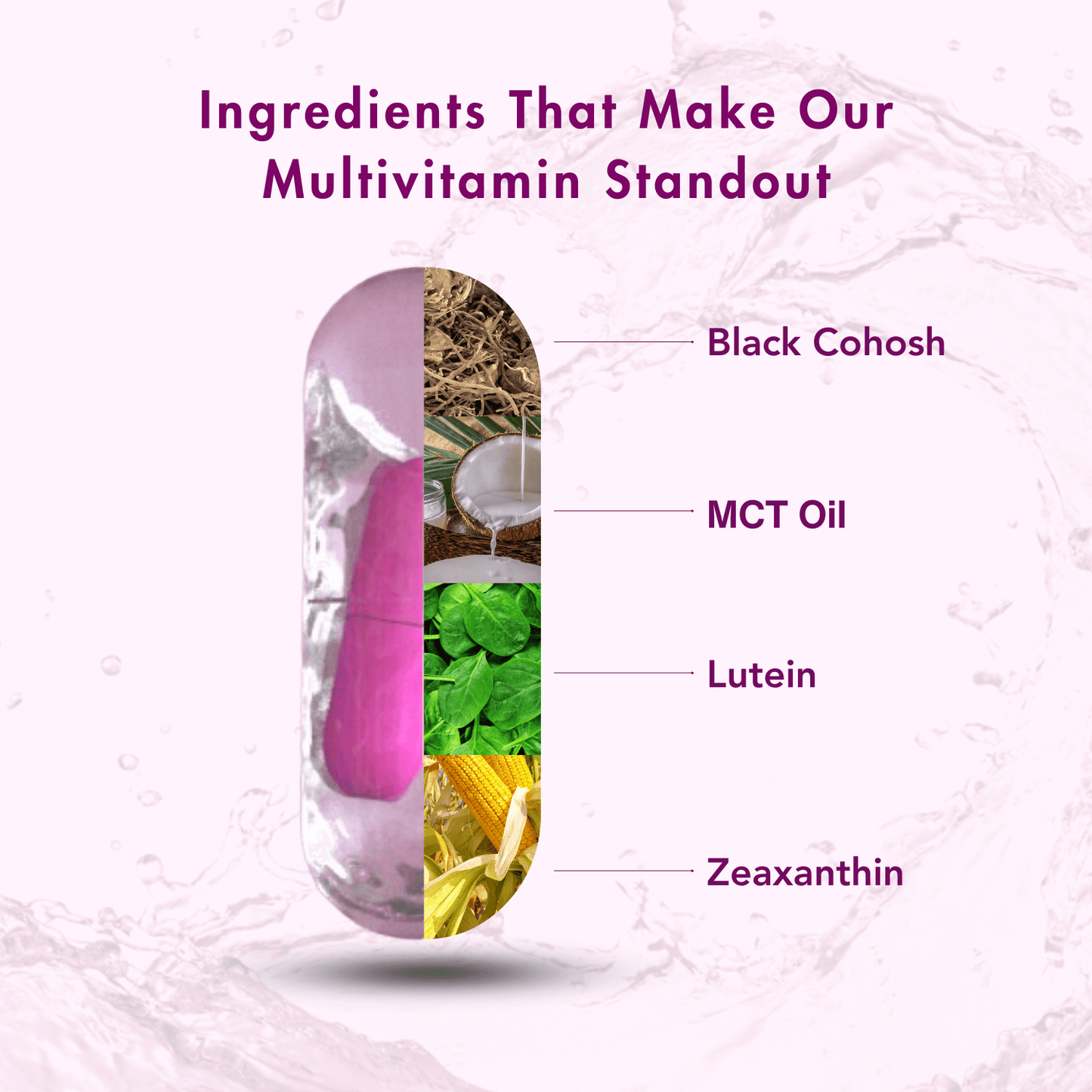 WishNew Wellness Daily Ritual Women's 50+ Multivitamin | Comprehensive Nutrient Blend for Menopause, Skin & Joint Health | 60 Delayed Release Oil Capsules for Optimal Absorption & Wellbeing