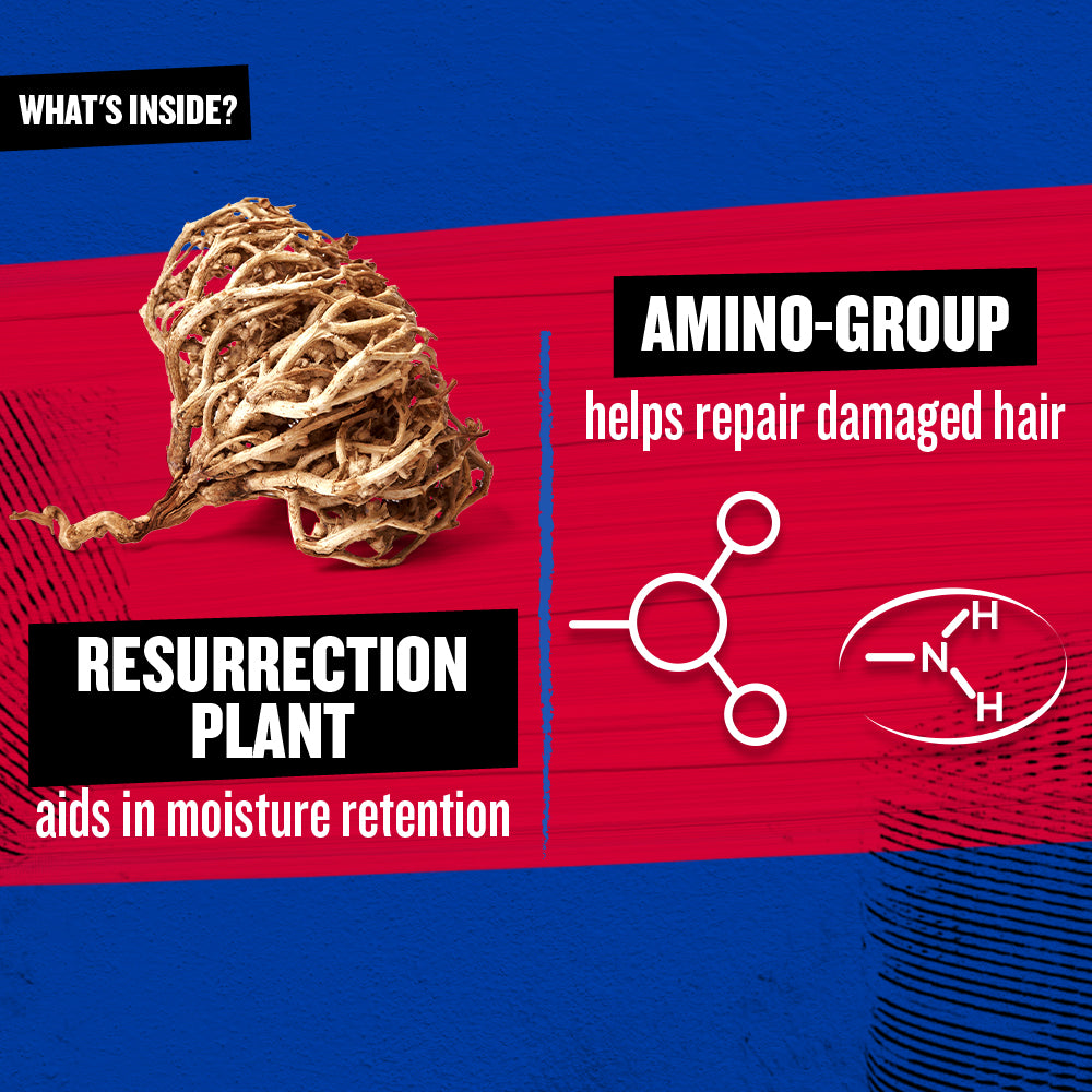 Bed Head Cond Resurrection 400ml