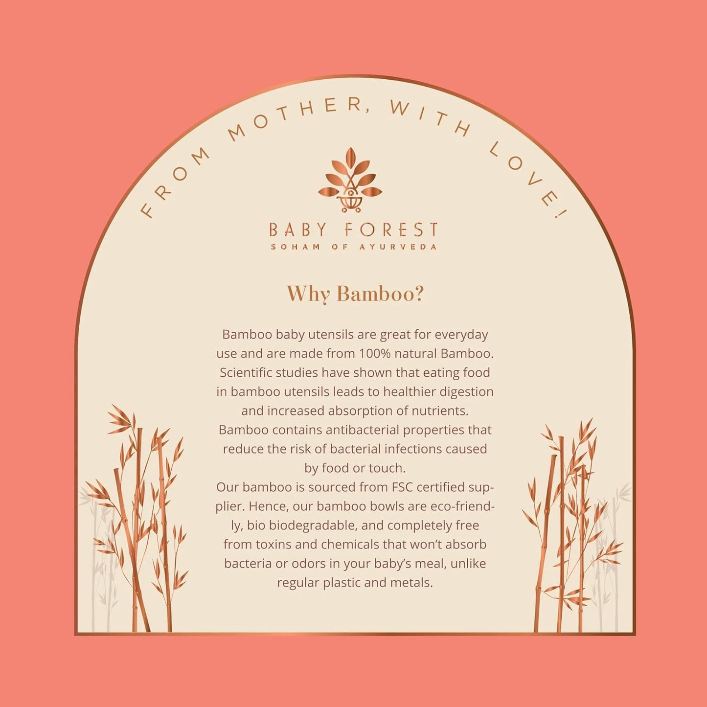 BABY FOREST Laad Dulaar Bamboo Feeding Plate | Car Shape | Toxin & Chemical-Free | Bio-Degradable & Environment-Friendly | with Silicon Suction Base | Cruelty-Free