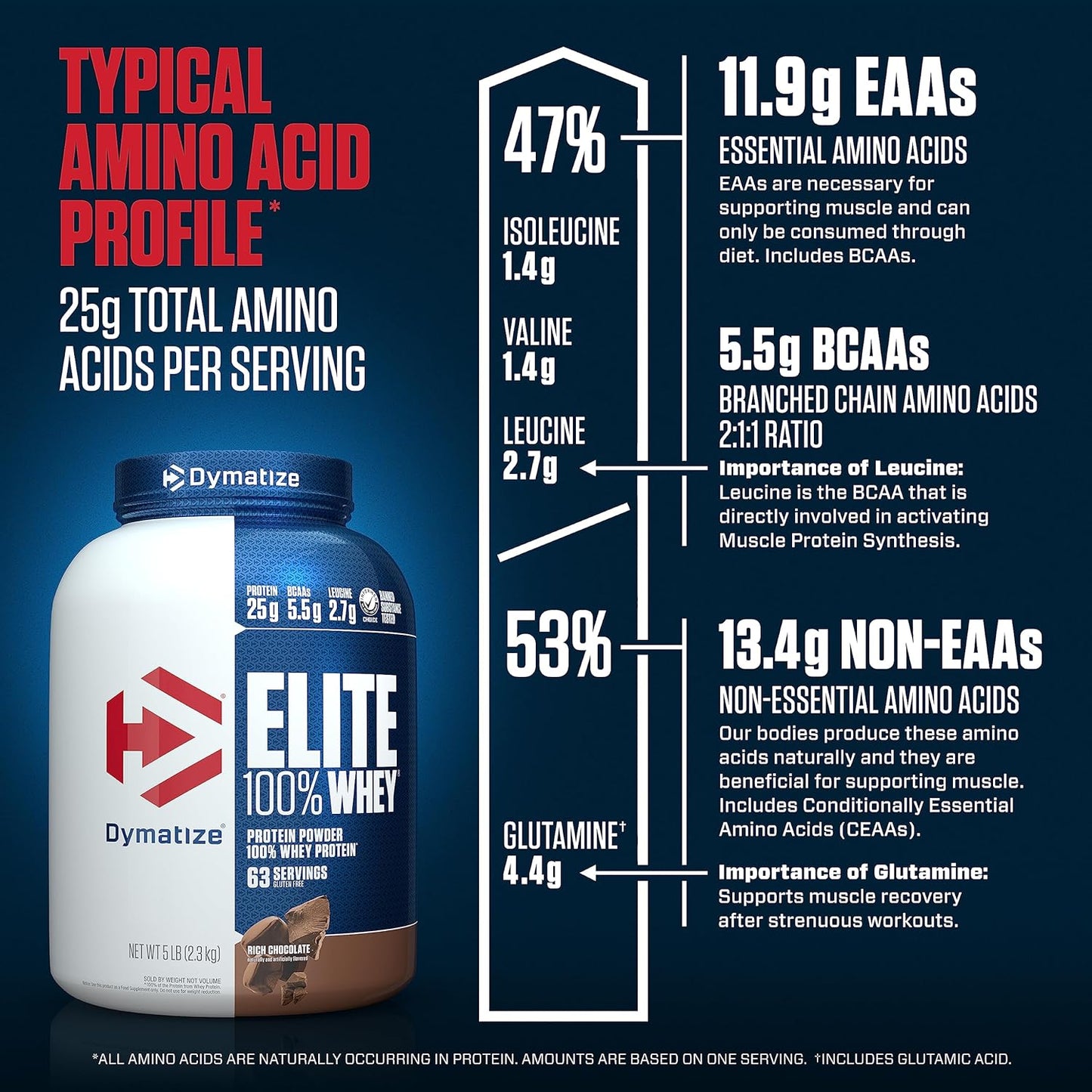 Dymatize Nutrition Elite Whey Protein Supplement Powder, Pre and Post Workout Protein Powder (5 lbs, 2.26 kg, Rich Chocolate)