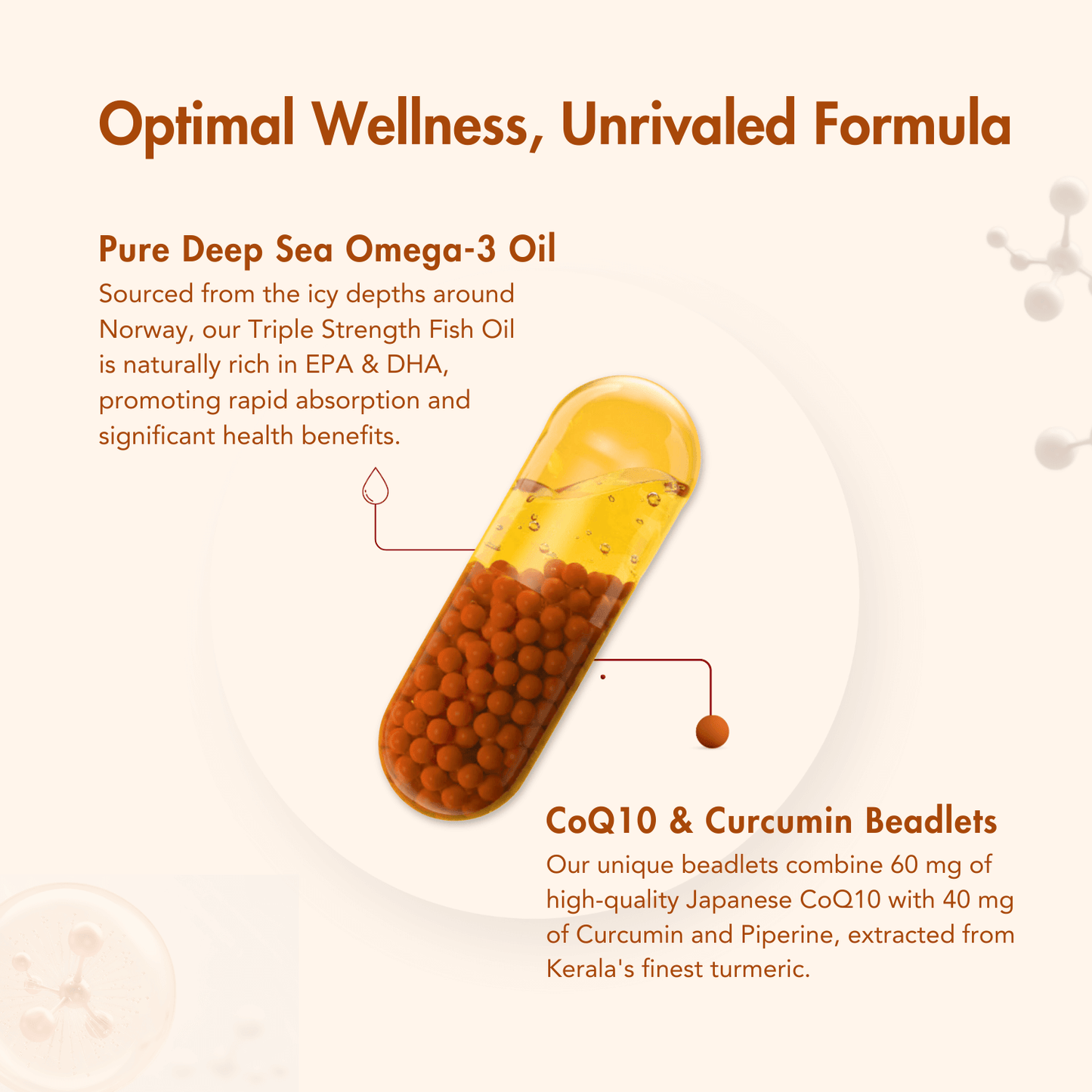 WishNew Wellness DAILY RITUAL with Triple Strength Fish Oil & CoQ-10 | Enhanced Heart & Brain Health | 60 Liquid Capsules with CoQ10 Pellets | High Potency Omega-3, EPA, DHA for Wellbeing