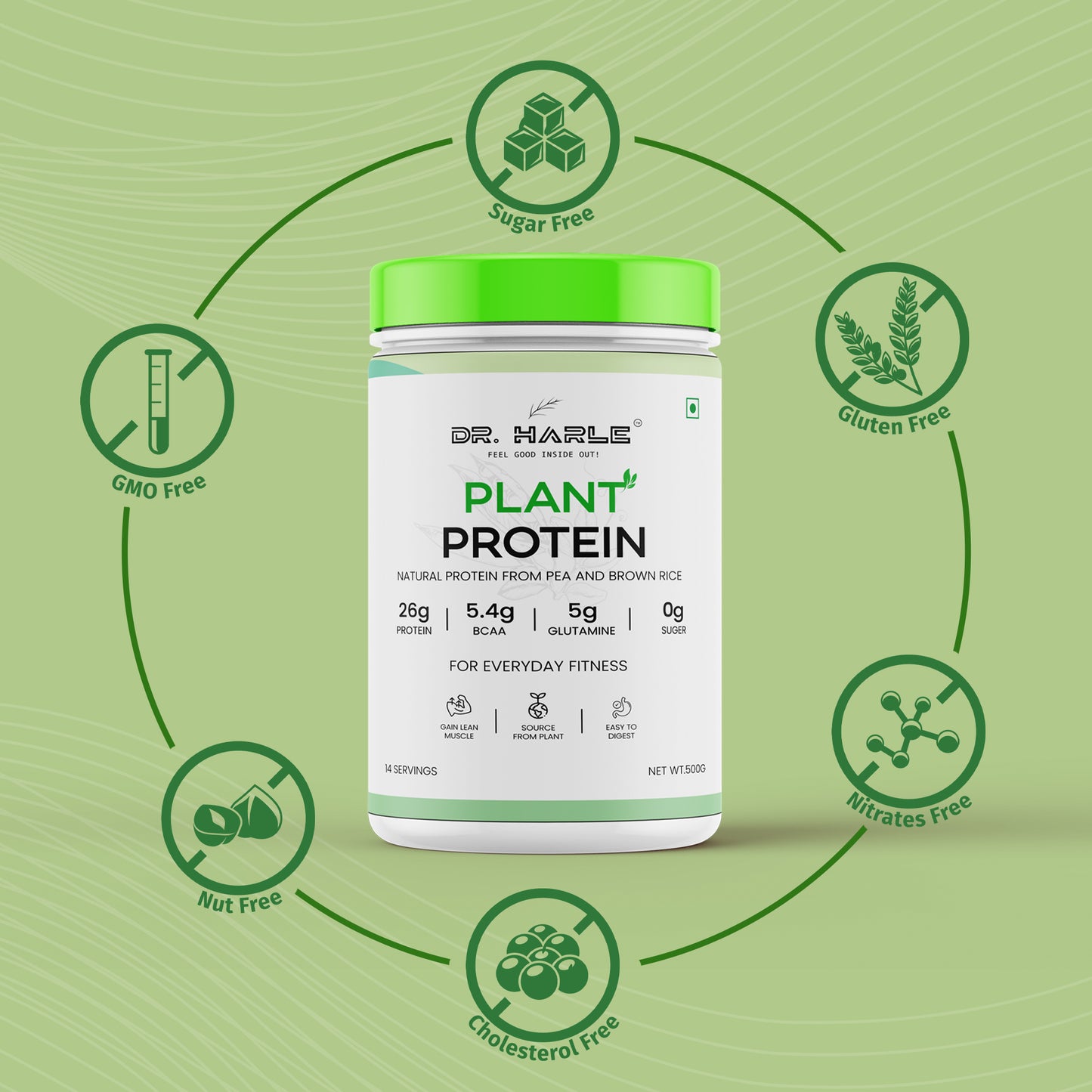 DR. HARLE 100% Vegan Plant Protein Powder for Women & Men 26g Protein, 26 Vitamins & Herbs per Serving with Digestive Enzymes | Supports Muscle Growth & Recovery | All-Natural, Non-GMO, Gluten-Free | Delicious Belgian Chocolate Flavour - 500gm