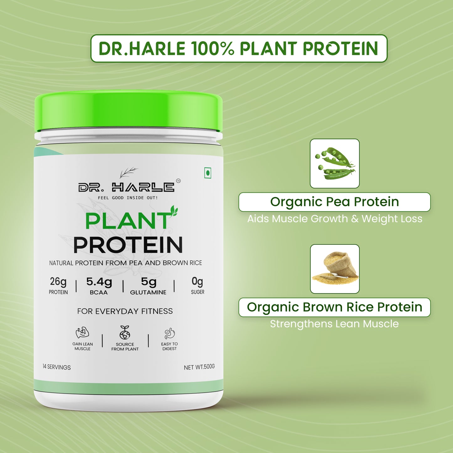 DR. HARLE 100% Vegan Plant Protein Powder for Women & Men 26g Protein, 26 Vitamins & Herbs per Serving with Digestive Enzymes | Supports Muscle Growth & Recovery | All-Natural, Non-GMO, Gluten-Free | Delicious Belgian Chocolate Flavour - 500gm