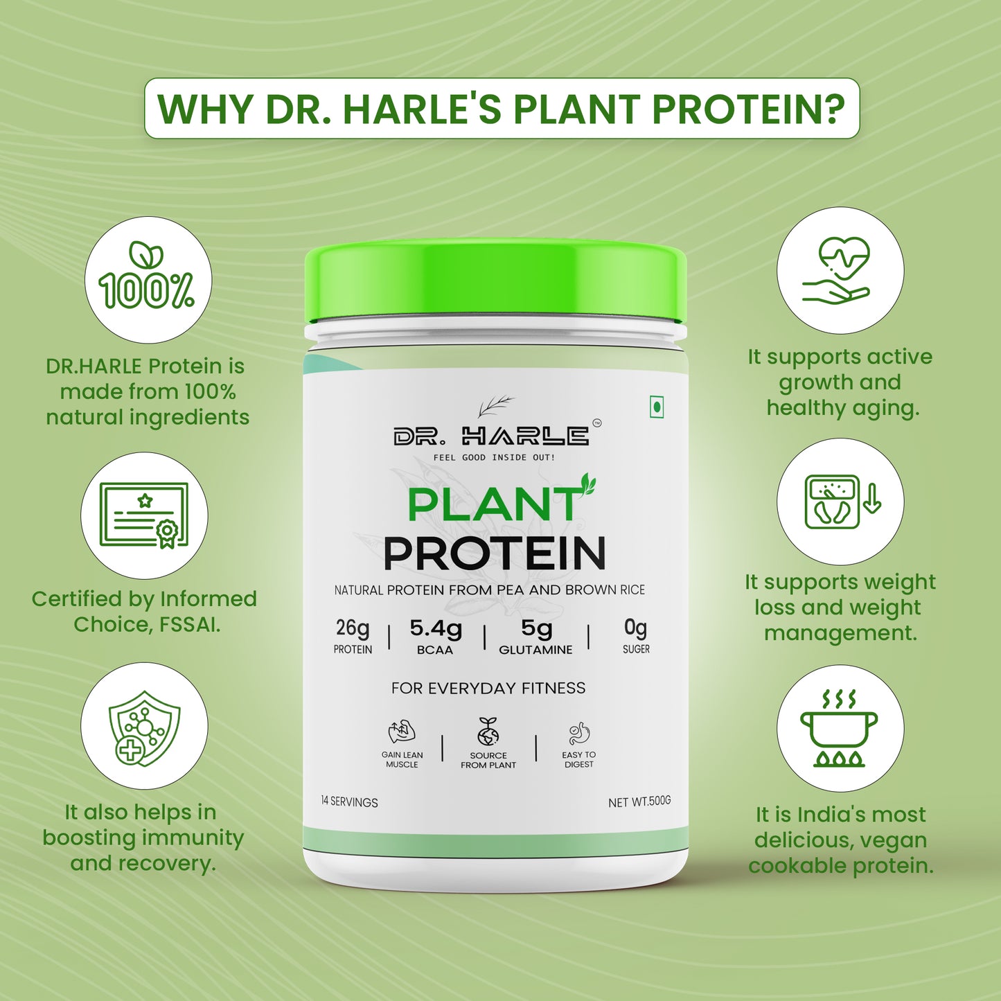 DR. HARLE 100% Vegan Plant Protein Powder for Women & Men 26g Protein, 26 Vitamins & Herbs per Serving with Digestive Enzymes | Supports Muscle Growth & Recovery | All-Natural, Non-GMO, Gluten-Free | Delicious Belgian Chocolate Flavour - 500gm