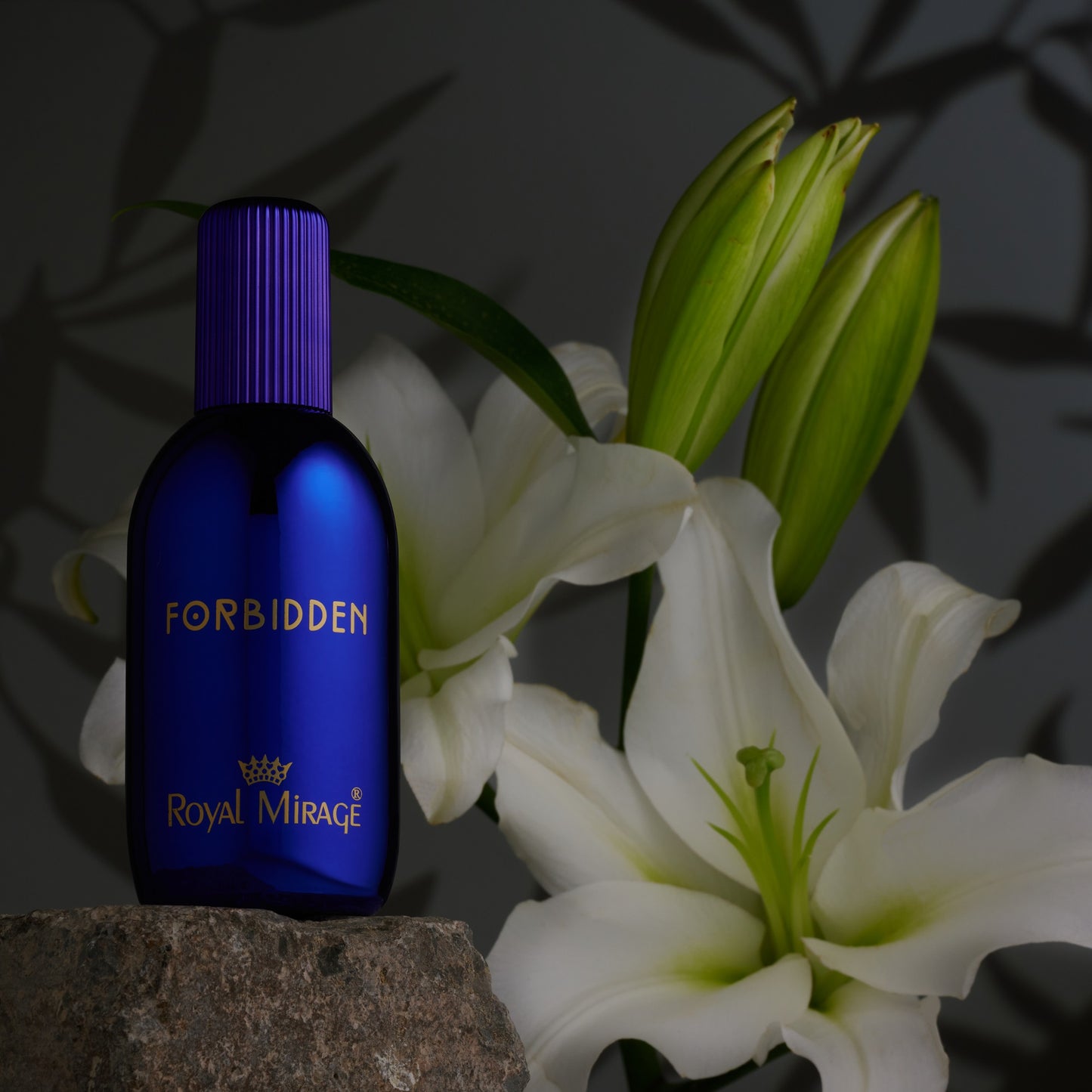 Royal Mirage Forbidden 100ml EDT