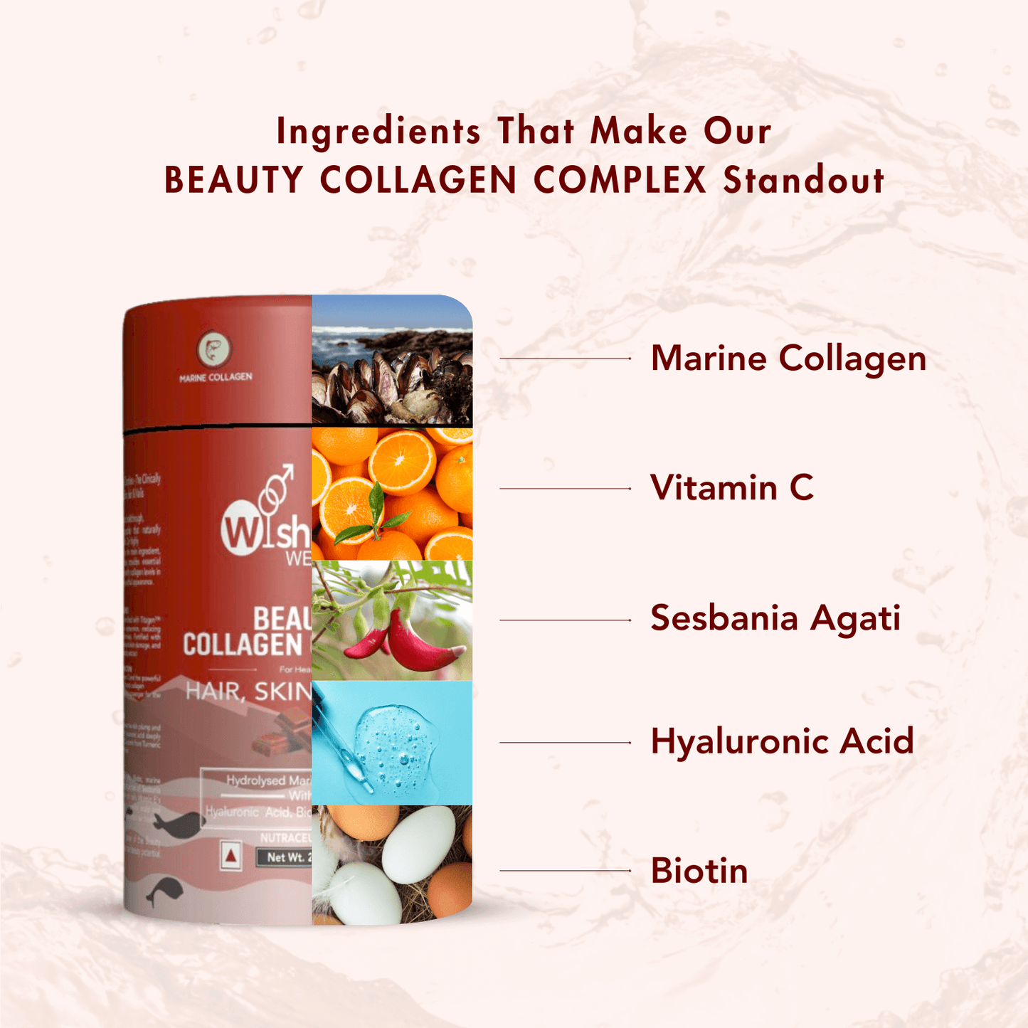 WishNew Wellness BEAUTY COLLAGEN COMPLEX | Enhanced Hair, Skin, Nails Health | 21 Servings of Nutrient-Rich Sachets | Hyaluronic Acid, Biotin, Vitamins C & E | Natural Chocolate Flavor Pack of 2