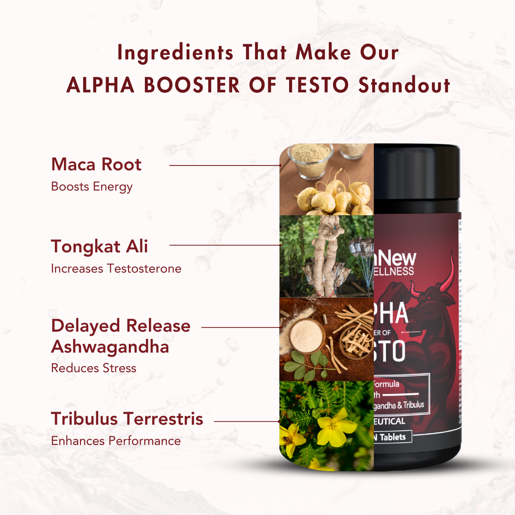 WishNew Wellness ALPHA BOOSTER OF TESTO | 30 Veg Tablets | Maca, Tribulus, Ginseng | Zinc & Vitamin D2 | Men's Health Pack of 2