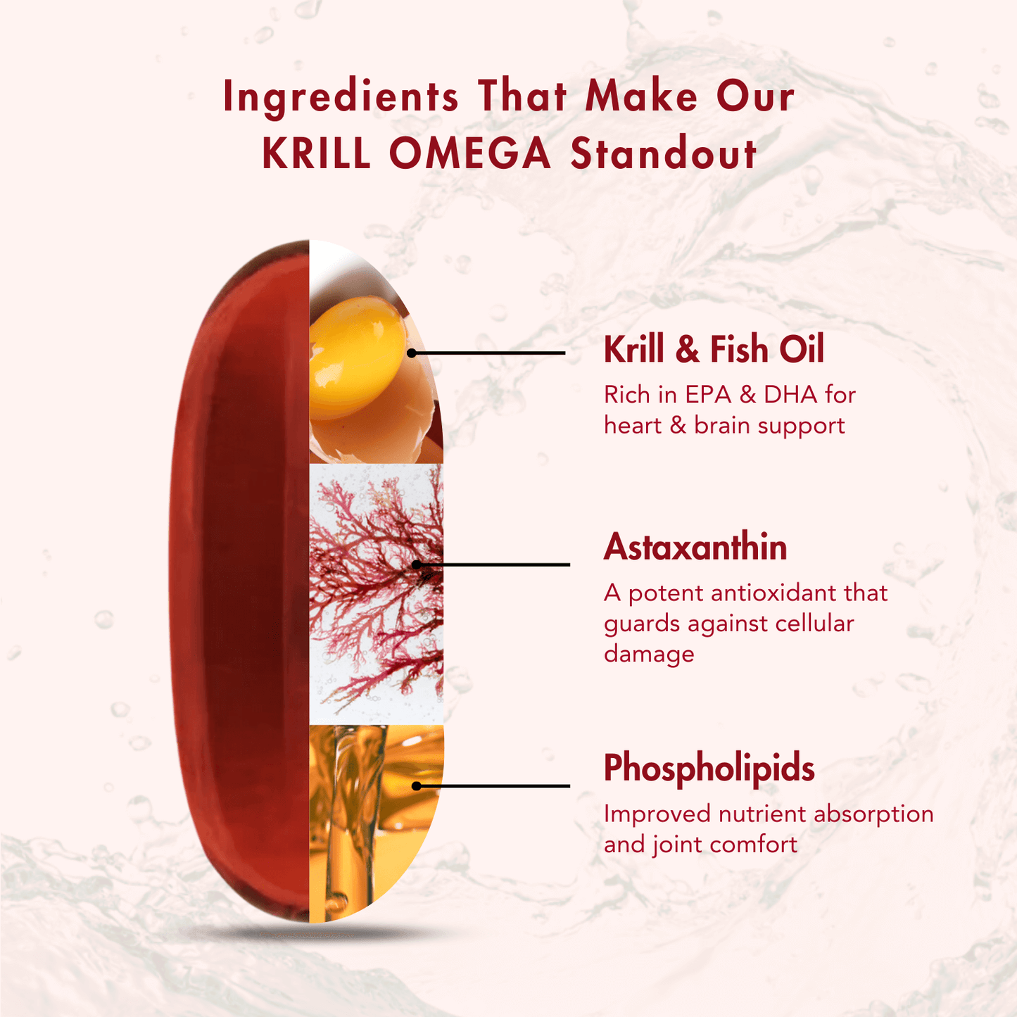 WishNew Wellness Krill Omega Complex for Heart & Brain Health, 60 Enhanced Absorption Softgels with 2000mg Fish Oil & 250mg Krill, Rich in EPA & DHA Plus Astaxanthin Pack of 2