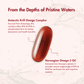 WishNew Wellness Krill Omega Complex for Heart & Brain Health, 60 Enhanced Absorption Softgels with 2000mg Fish Oil & 250mg Krill, Rich in EPA & DHA Plus Astaxanthin