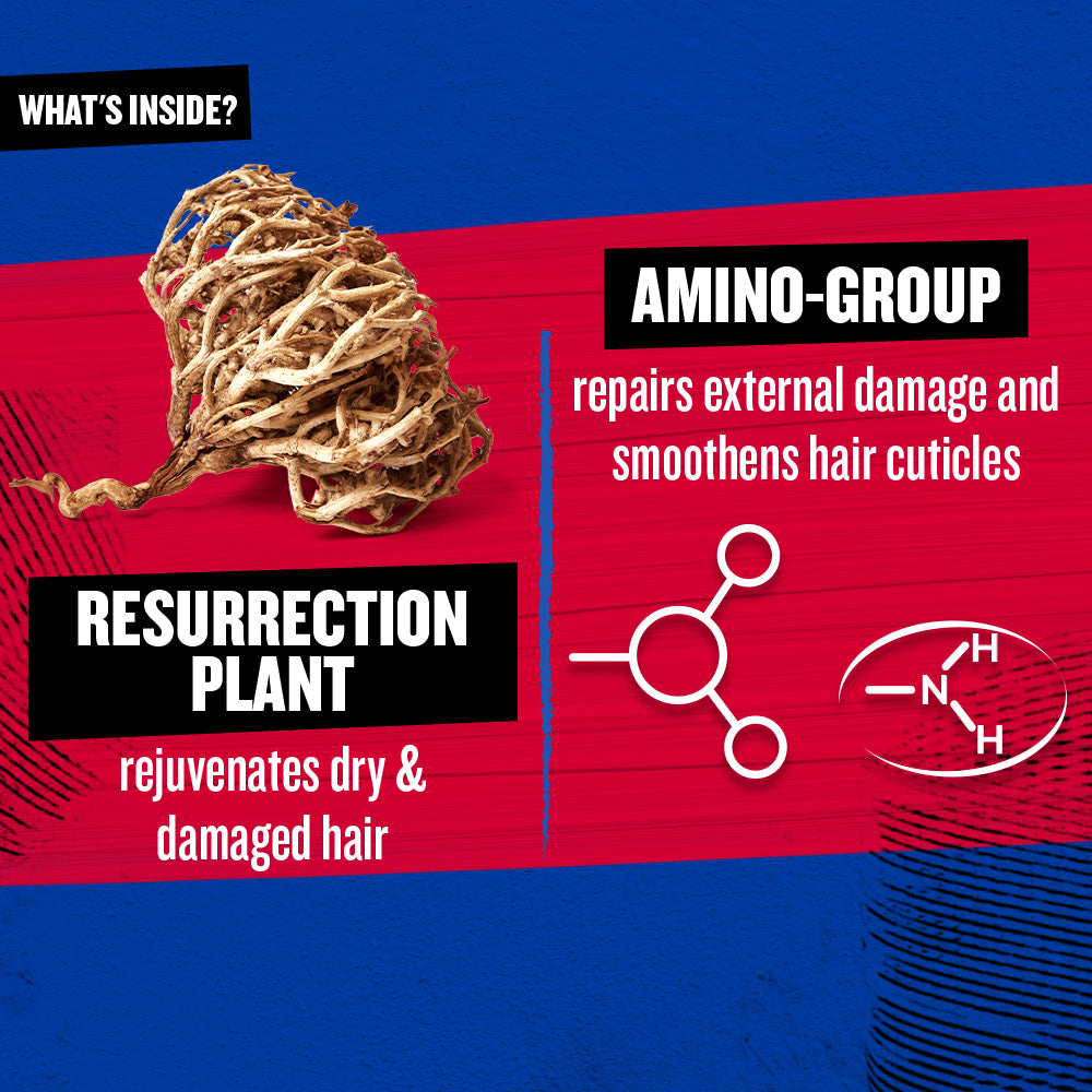 Bed Head Spoo Resurrection 400ml