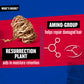 Bed Head Cond Resurrection 400ml