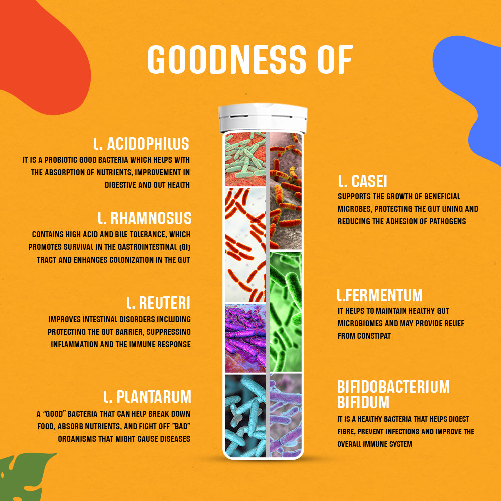 The Tiny Secret Digestion Fit Mints | Metabolic Booster | Protects Gut from Infection Meetha Pan Flavour & Gut Health Jaljeera Flavoured Fizz Pack of 2