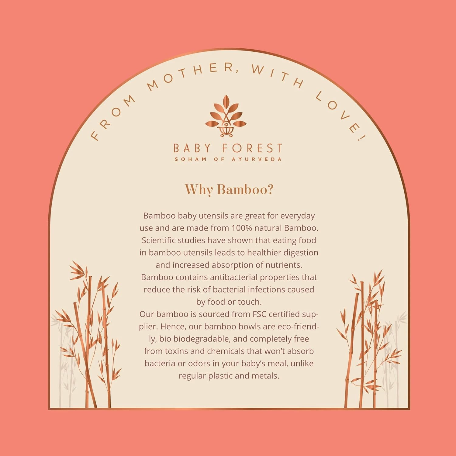BABY FOREST Laad Dulaar Bamboo Feeding Plate | Car Shape | Toxin & Chemical-Free | Bio-Degradable & Environment-Friendly | with Silicon Suction Base | Cruelty-Free