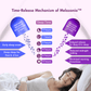 WishNew Wellness SLEEPEASE | 30 Veg Capsules | Advanced Sleep Formula | L-Theanine, Melatonin, Valerian, Ashwagandha | Deep Restful Sleep | Non-Habit Forming | 100% Vegetarian | Enhanced Relaxation