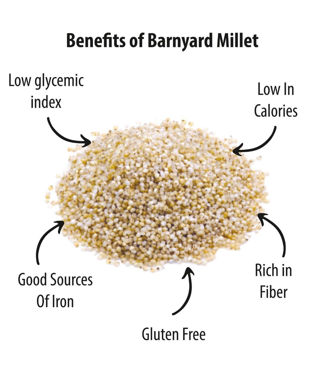 Future Foods Premium Barnyard Millet | Jhangora/Sanwa | Gluten Free | Good Source of Protein & Fiber | With More Iron & Zinc Content | Ideal for Celiac & Diabetes Patients | 450g