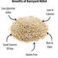 Future Foods Premium Barnyard Millet | Jhangora/Sanwa | Gluten Free | Good Source of Protein & Fiber | With More Iron & Zinc Content | Ideal for Celiac & Diabetes Patients | 450g (Pack of 3)