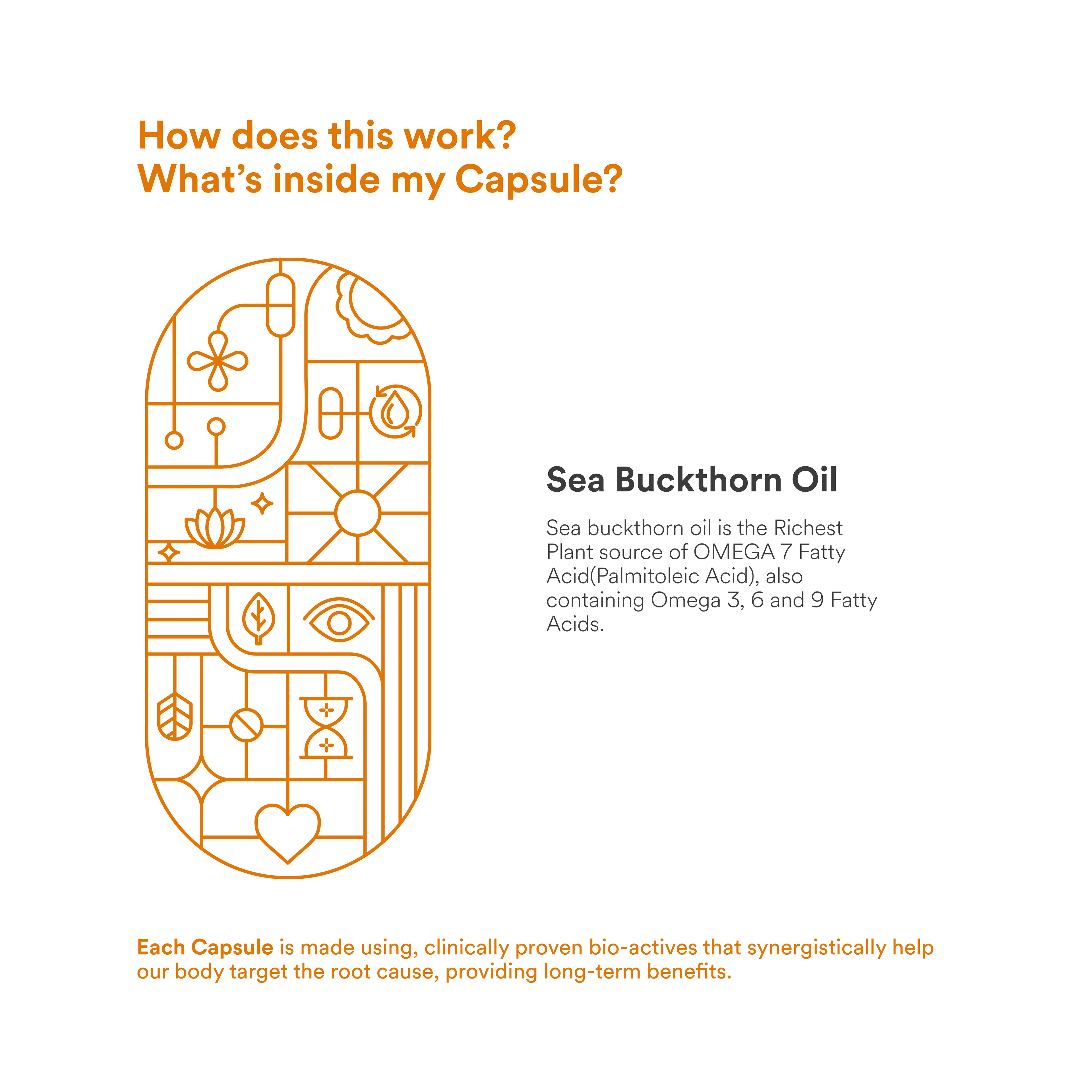 Origins Nutra Sea Buckthorn Oil |Reduce Wrinkles & Pigmentation, Supports Skin Hydration & Elasticity | Sea Buckthorn Oil | GMP Certified | For Men & Women | 28 Capsules Pack of 3