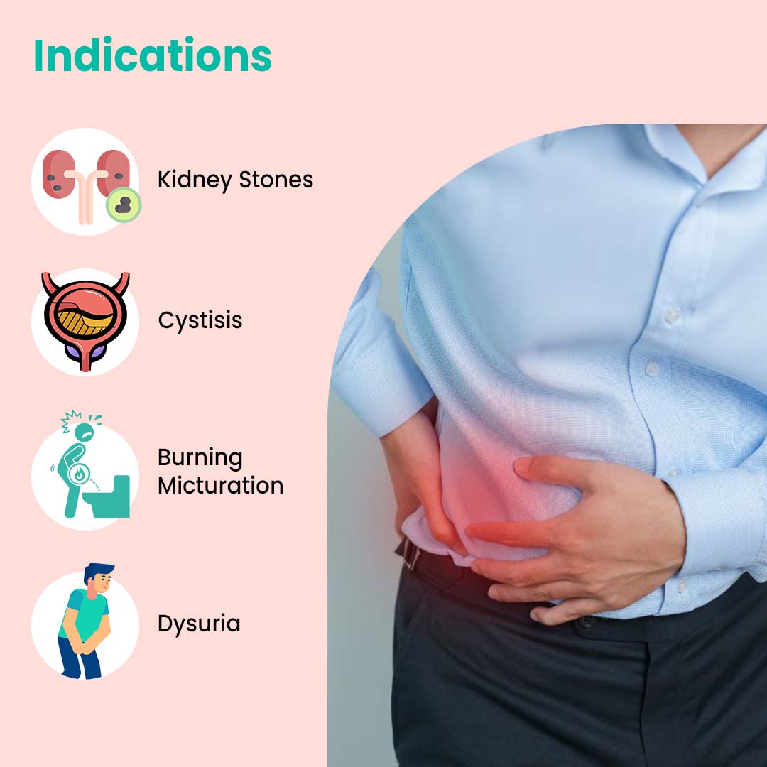 Cratus Urineat Plus Decreases Urine Bacteria | Reduces Inflammation| Raises Urine pH | Shrinks Kidney Stones