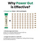 Muditam Ayurveda Power Gut - Prebiotics & Probiotics Supplement | Constipation, Bloating, Gas & Acidity Relief | Clinically Proven Strain | 30 Sachet