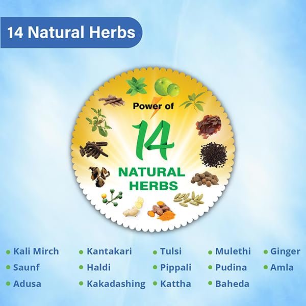 Emcof Ayurvedic Sugar-Free Cough Syrup: Relieve Your Cough Naturally with Our Herbal Formula - Buy Now for Fast Relief! (Pack of 6)