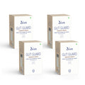 Dive Gut Guard Immunity Boost | Probiotics | For Improving Digestion & Immunity System in Men & Women | (60 Days Pack)