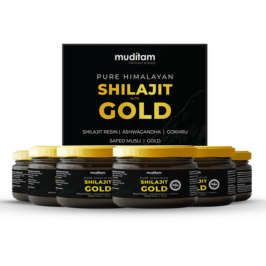 Muditam Ayurveda Shilajit Gold | boost in Strength, Stamina & Muscle building | Clinically Proven Strain | 100% Ayurvedic | 20g (Pack of 6)