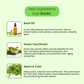 AROMA BLUSH Herbal Infusion body lotion 300ML