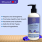 AROMA BLUSH Intense Repair Conditioner 300ML