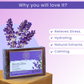 AROMA BLUSH Lavender Dream soap 100 G