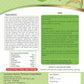 Future Foods Premium Pine Nuts 250 Gms