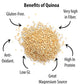 Future Foods Premium White Quinoa | Whole Grain | Sweet & Nutty Flavour | Gluten Free | Plant-Based Source of Protein | High Fiber & Protein | 450g (Pack of 3)