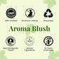 AROMA BLUSH Refreshing Mint Breeze 300ML