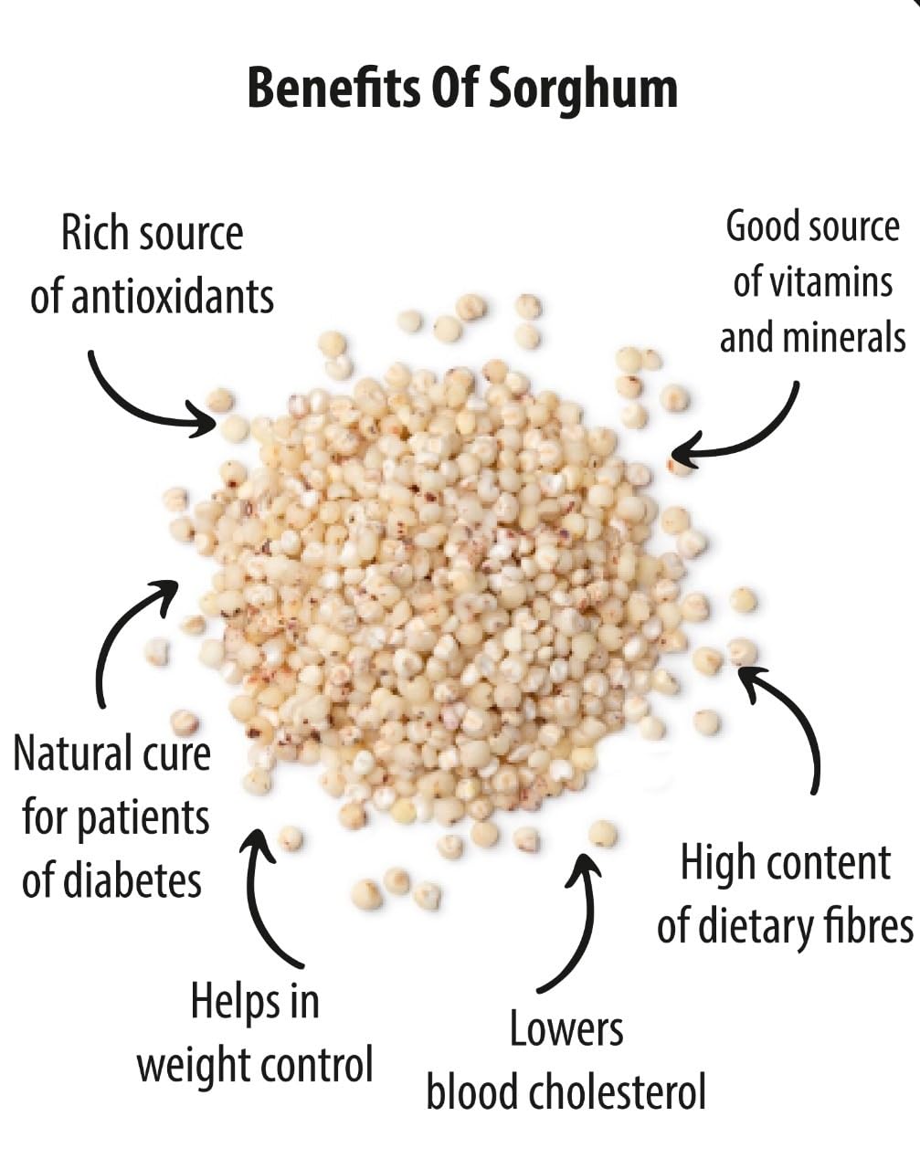 Future Foods Premium Sorghum/Jowar Flour | High Protein | Gluten Free | Rich Source of Antioxidants | Dietary Fiber Rich | Ideal of Diabetic Patients | Supports Weight Control | 450g