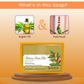 AROMABLUSH Hydrating Aloe Oasis, Refreshing Mint Breeze & Glowing Argan Bliss Combo Soap