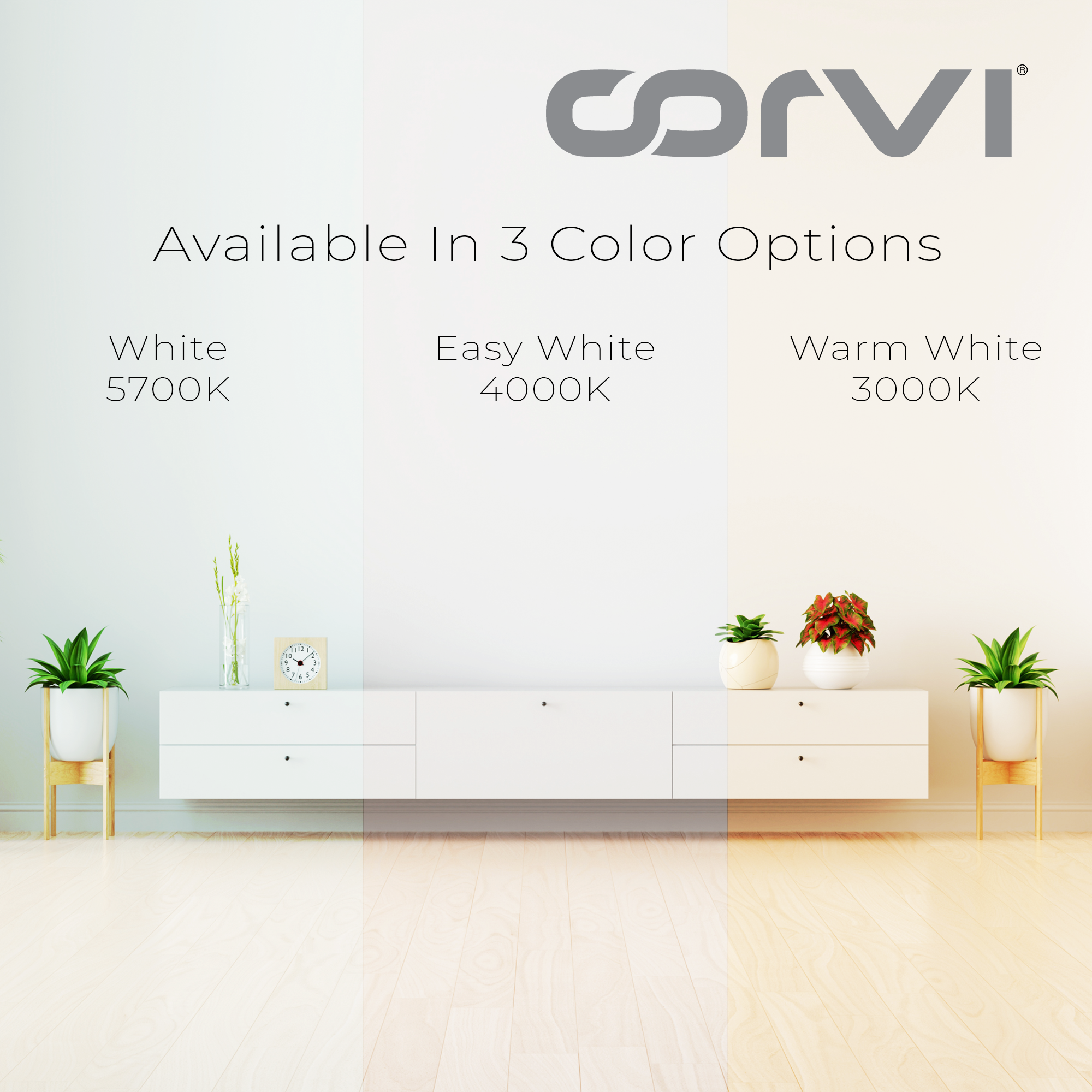 CORVI LED Flat 4 Round 6W Ceiling Panel Light | Slim, Dimmable & Driverless |  White 5700K | Backlit for Maximum Output | Ideal for False Ceilings & Home Lighting (Pack of 2)